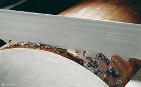 七台河带锯床线速度设定过高，为什么会导致带锯条齿尖发热加速锯条的磨损？